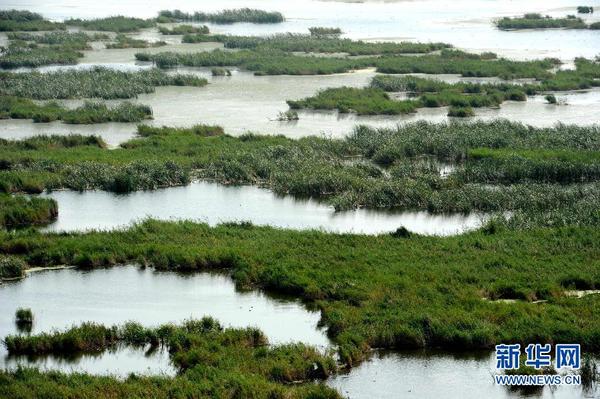 鸟瞰大庆龙凤湿地(图)|湿地|自然保护区_凤凰旅