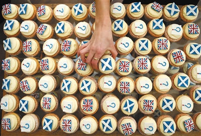 苏格兰独立公投在即，曲奇成投票工具。