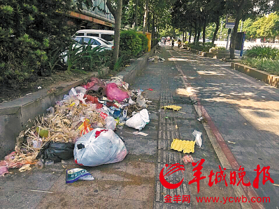 东莞环卫工人被打后罢工 垃圾满地无人清理(图