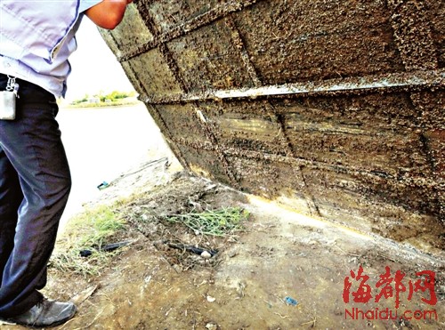 船底锋利的铁片割破了裸露在地表的电缆(画圈处)