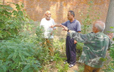 沁阳市有多少人口_沁阳有多少人不了解大健康 财富在向你招手