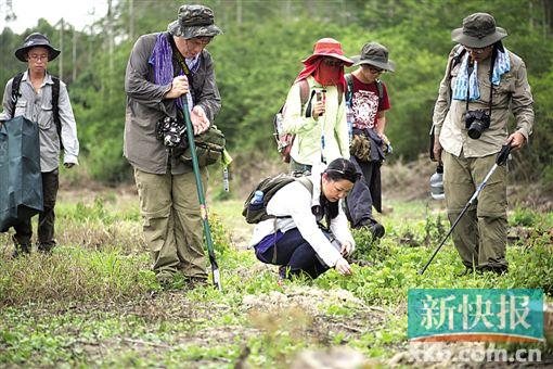 你知道植物怎样查户口吗|中药|学生