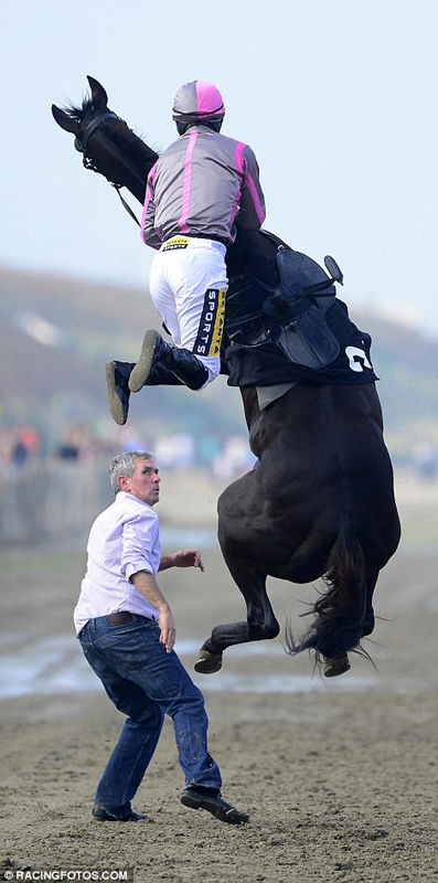 赛马突然暴跳半空险踏马夫 终被骑手制服|骑手