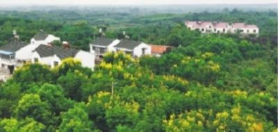 庐江县白湖镇裴岗社区居民杨克东家屋顶装上了光伏电站。