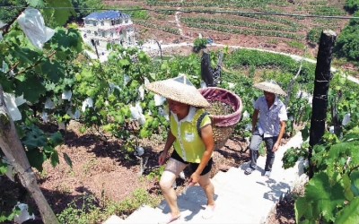 精准扶贫斩穷根|小康社会|基层组织