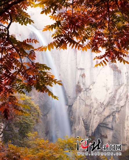 层林尽染 摄影∕郭杰