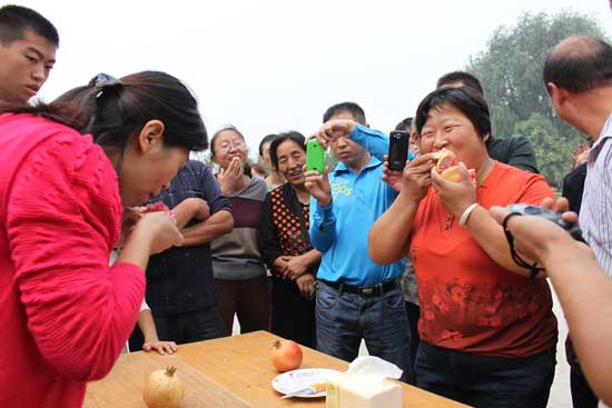 荥阳市第十届河阴石榴文化节将于9月19日开幕