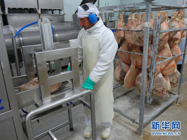 工人将猪腿取出,挂在身后的架子上