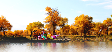 魏国庆镜头下的秀美胡杨和泽普姑娘（受访者提供）