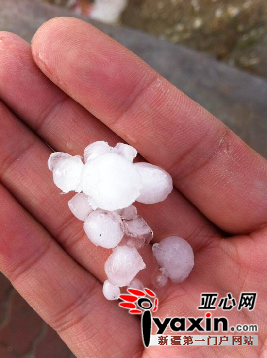 阿勒泰市民拍摄的图片。