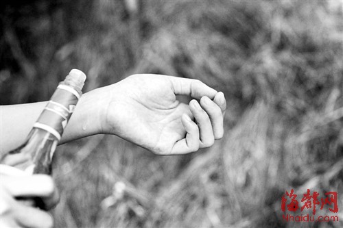 居民防蚊什么方法较靠谱?|蚊子|灭蚊器