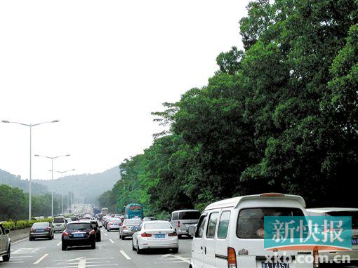 ■华快上的车龙望不到尽头。 新快报记者 许力夫/摄