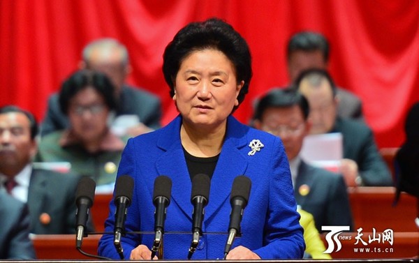 中共中央政治局委员、国务院副总理、中央代表团团长刘延东出席大会并讲话