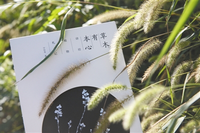 草木有本心|张九龄|古今