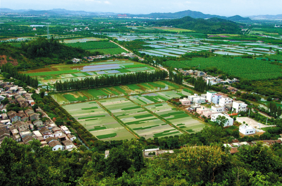 远眺莲江村 (图片来源:斗门区地情网)