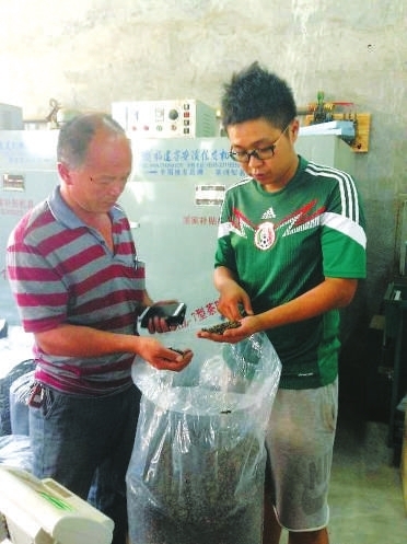 吴曜任（右）与工人探讨抽茶技术。