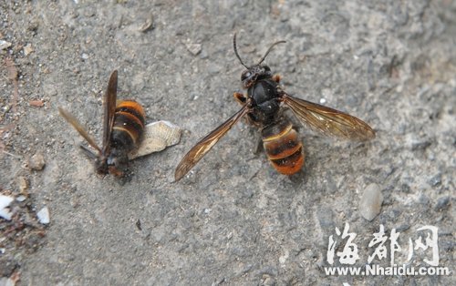 cb08c9ad-396c-4314-9cb7-165b0a516327.jpg