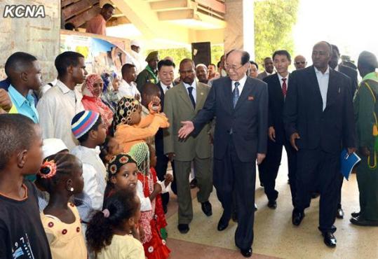 朝鲜高官金永南访问苏丹 签署双边医学合作协