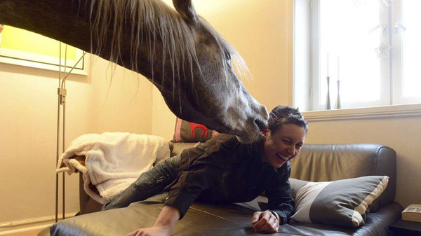 阿恩特和纳泽形影不离,但这却使她的宠物猫和宠物狗十分不快。