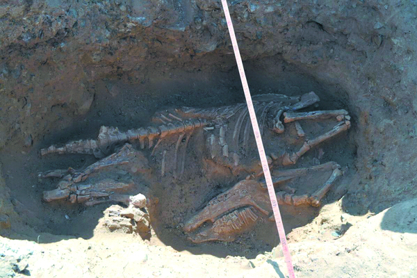 考古工作者挖掘出的墓室。