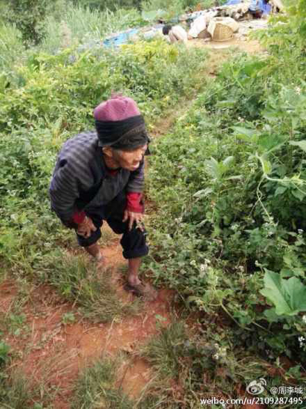 景谷高龄老人生活状况 网友供图