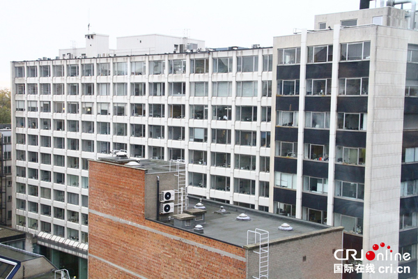 安特卫普钻石街上的每一个窗口都是钻石交易室