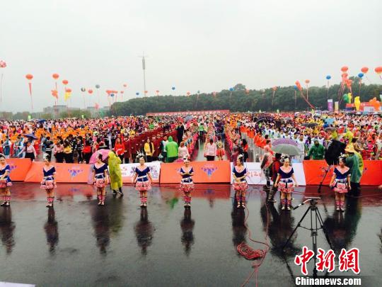 图为活动现场。 谢盼盼 摄