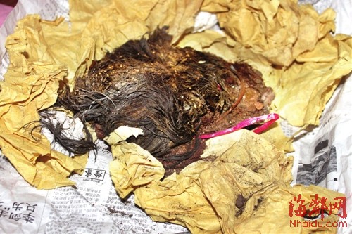 墓主人毛发保存完好