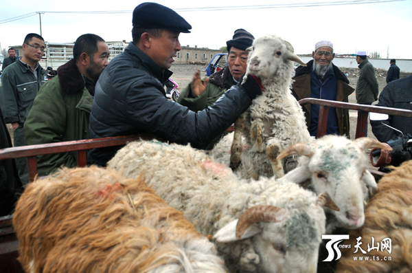 牲畜市场上人们在交易。