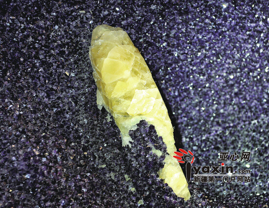 整块水晶石被切开后,里面有一块长约50厘米的石柱。亚心网记者张万德 摄