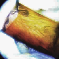 25f00d9d-2bbf-48b0-a5ed-62102953d8cc.jpg