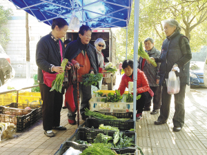 蔬菜直销点方便了周围市民 都市时报 张昊哲