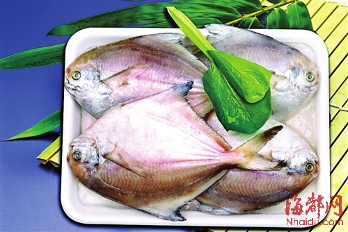 鲳鱼向来被喜欢海鲜的人们所热爱