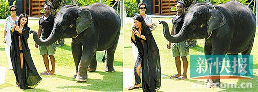 不作死就不会死    美国娱乐界名媛金·卡戴珊在泰国与大象自拍合影,结果差点遭到大象攻击,只能狼狈逃走。