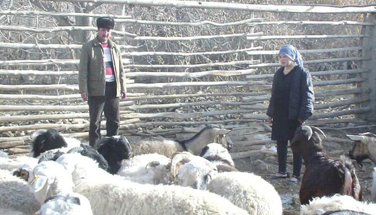 麦麦提伊明·日杰普在了解农民的牲畜养殖情况。(图片均为资料图片,由墨玉县文明办提供)