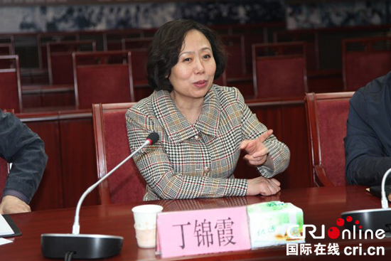 河北省食品药品监督管理局局长丁锦霞在药安食美恳谈会上讲话。(河北省食品药品监督管理局 供图)