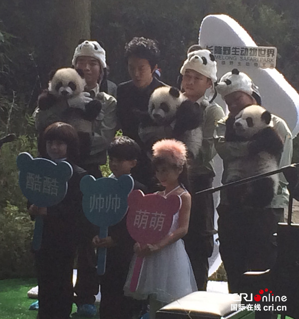 有了新名字的熊猫三胞胎精彩亮相
