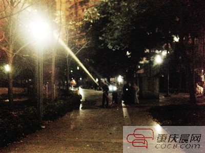 烦人的马蜂窝 终于被摘掉啦|马蜂窝|马蜂