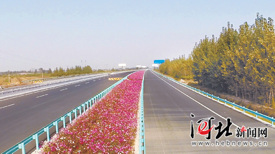 绿化美化效果。