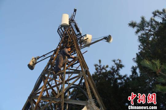 湖北罗田县:大雾山上的铁塔哨兵|气温|雷雨