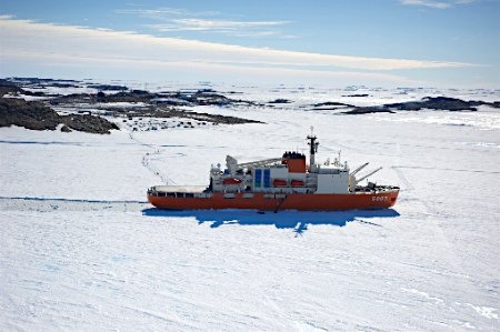 “白濑”号南极科考船已顺利在昭和基地近海靠岸。