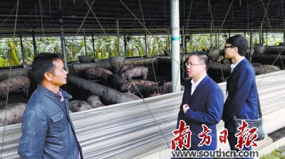 农村金融主力军发力 践行普惠金融迎丰收|贷款