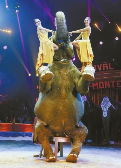 人象共舞|杂技团|演员