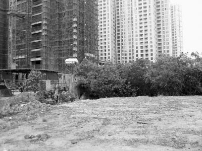 陈先生公司所购土地上的机房、机井、围墙已被破坏。