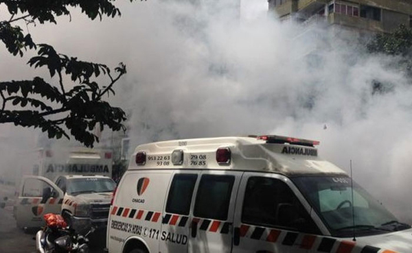 委内瑞拉一城市遭蜂群袭击，30余人受伤(网页截图)
