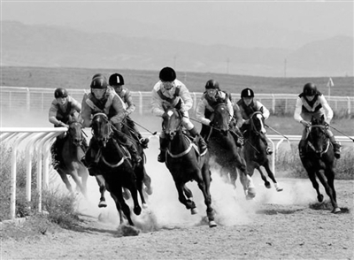 伊犁举办农牧民运动会|足球|举办权