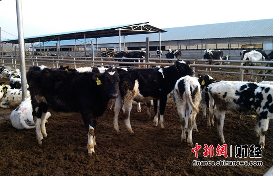 中鼎牧业托管的北京三农嘉华牧场