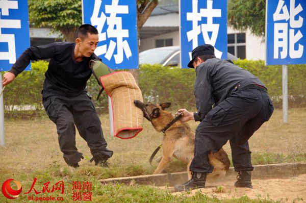 儋州特警演练现场