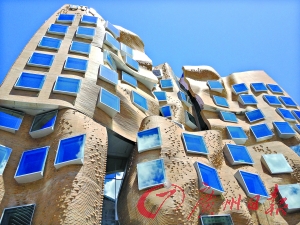 到悉尼科技大学读商科在树屋大楼上课|商科|