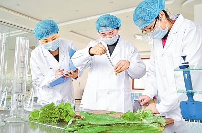 《政府工作报告》解读:十处细节彰显民生新亮